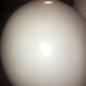 Meet your Posher, Deisy